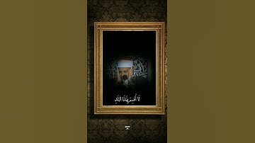 سورة البلـد l محمود صديق المنشاوى