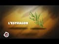 2mn pour comprendre lestragon