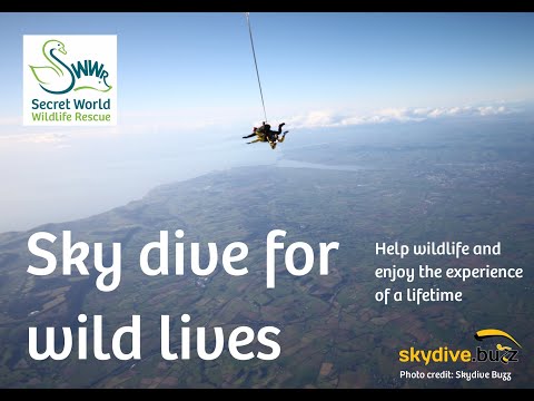 Skydive for Wild Lives with Secret World Wildlife Rescue