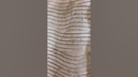 How float a Rendered wall