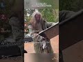 The British Public be like... #ftp #foryou #foryourpage #foryoupage #viral #viralvideo