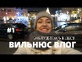 ЗАБЛУДИЛАСЬ В ЛЕСУ В ВИЛЬНЮСЕ/ОПАСНЫЕ ПРИКЛЮЧЕНИЯ - ВИЛЬНЮС ВЛОГ#1