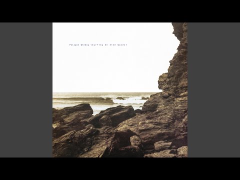 Polygon Window — Quoth (Wooden Thump Mix) (Music Video) | Dork