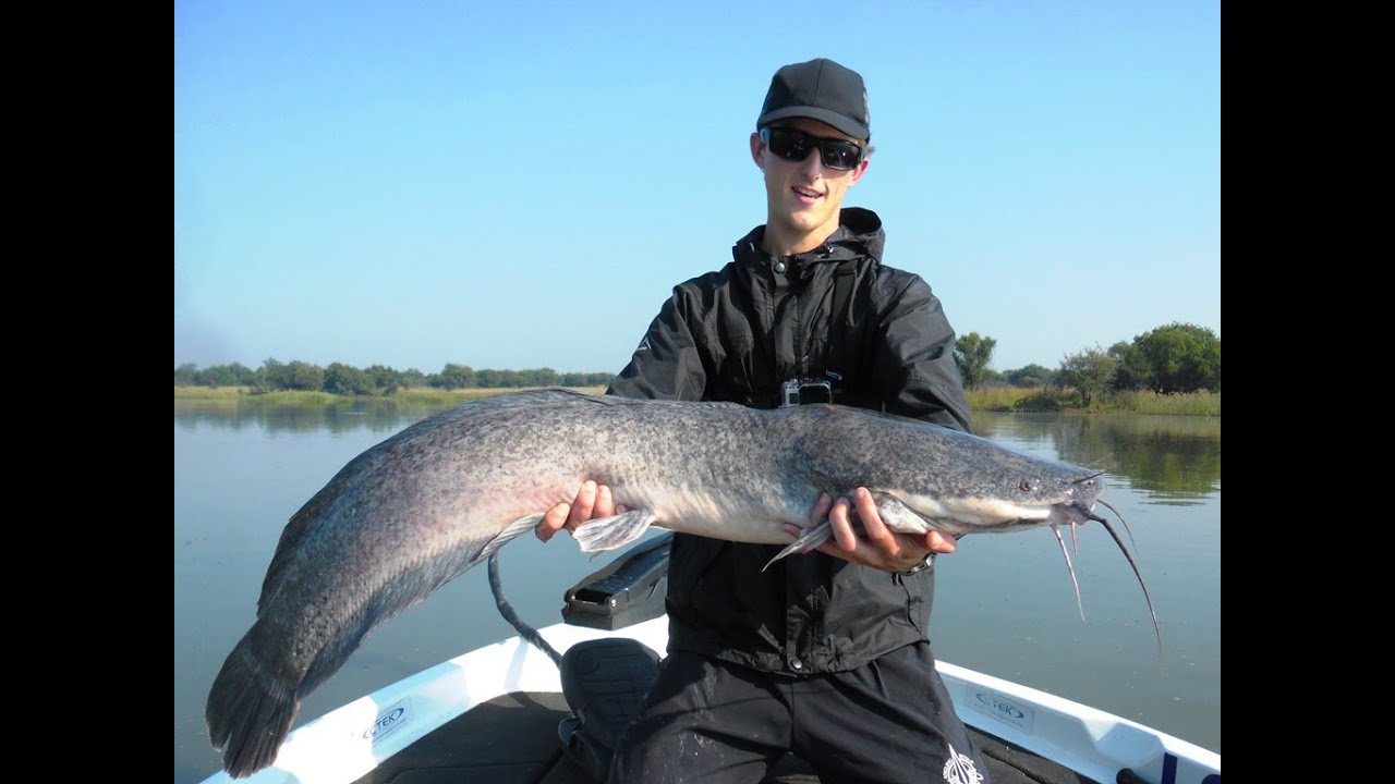 Ultimate Catfish on Lure! YouTube