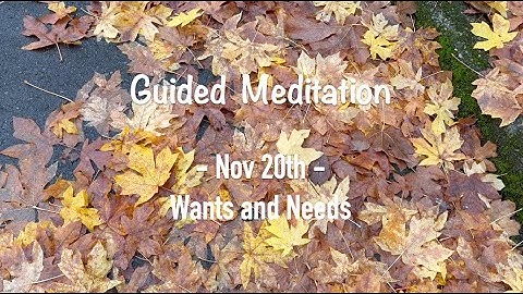 Nov 20th: Wants and Needs - Daily Meditations: the Language of Letting Go | Melody Beattie