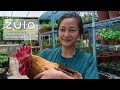 Left Corporate Job To Be A Farmer In Singapore: Kimberly Hoong | ZULA Features | EP 13