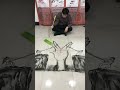 的精彩视频..