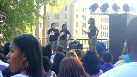 2008 Delta Sigma Theta - Beta Lambda Chapter Yard Show