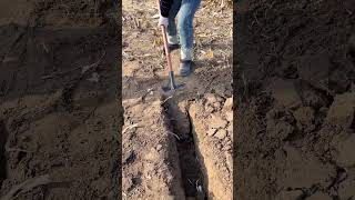 Rural Farmer #5585