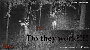 Hanging Vine Mock Scrapes