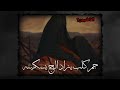 واح سيناه و إماماه احمد الساعدي 