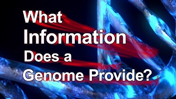 What Information Does a Genome Provide?