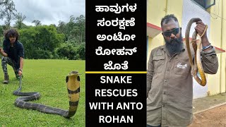 SNAKE RESCUE #83 (SNAKE RESCUES WITH ANTO ROHAN)