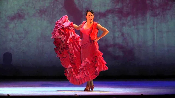 Ever Flamenco Photo 5