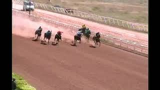 HIPÓDROMO MENDOZA 2017 10 29 2DA CARRERA