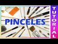 +7 🖌️ PINCELES Como utilizar cada pincel según tu PINTURA 🖌️