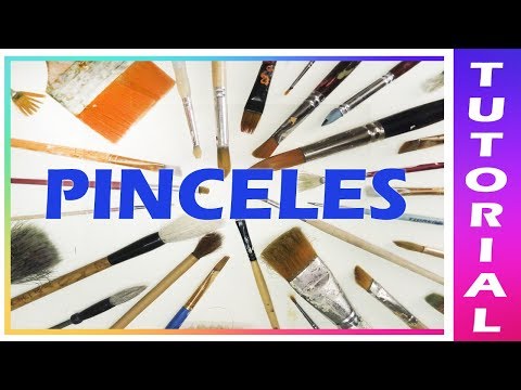 Video: ¿Qué tipo de pincel es mejor para cortar?