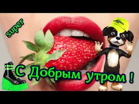 С Добрым утром мой веселый и красивый привет ☀ Лучшие пожелания