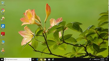 How to Create Hidden Network Shared Folder on Windows 10 [Tutorial]