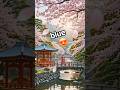 #blue #myvlog #pragati #love #youtubeshorts #trendingshorts #japaneseculture #viralshorts