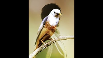 portret Marleen Luykx