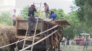 : La breloux graineti`ere