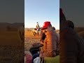 سربة الخيل مكناس المقدم  البعوشي أنور  الأولى جهة فاس مكناس ...