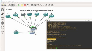 OSPF Neighbor Troubleshooting