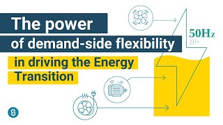 Energy Sector Revolution: Harnessing Demand-side Flexibility