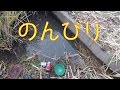 浮きの動きから観る真鮒釣り動画