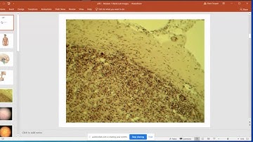 Endocrine Lab - Part 1