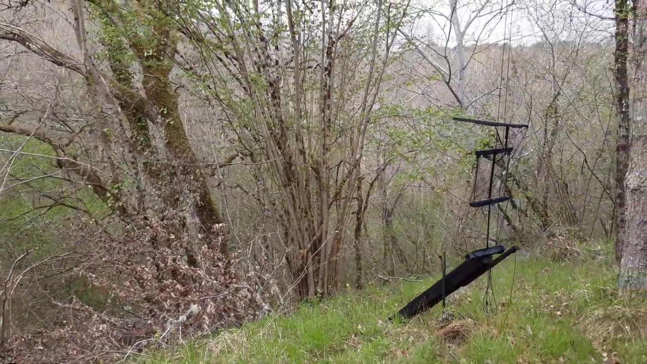 Fil Laplombe palombe.org Pigeon sur fil stratégie de pose chasse a la palombe - YouTube