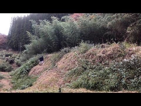 Trump on Verge of War Over Nobel Peace Prize Snub \u0026 He Celebrates His First Year in Office