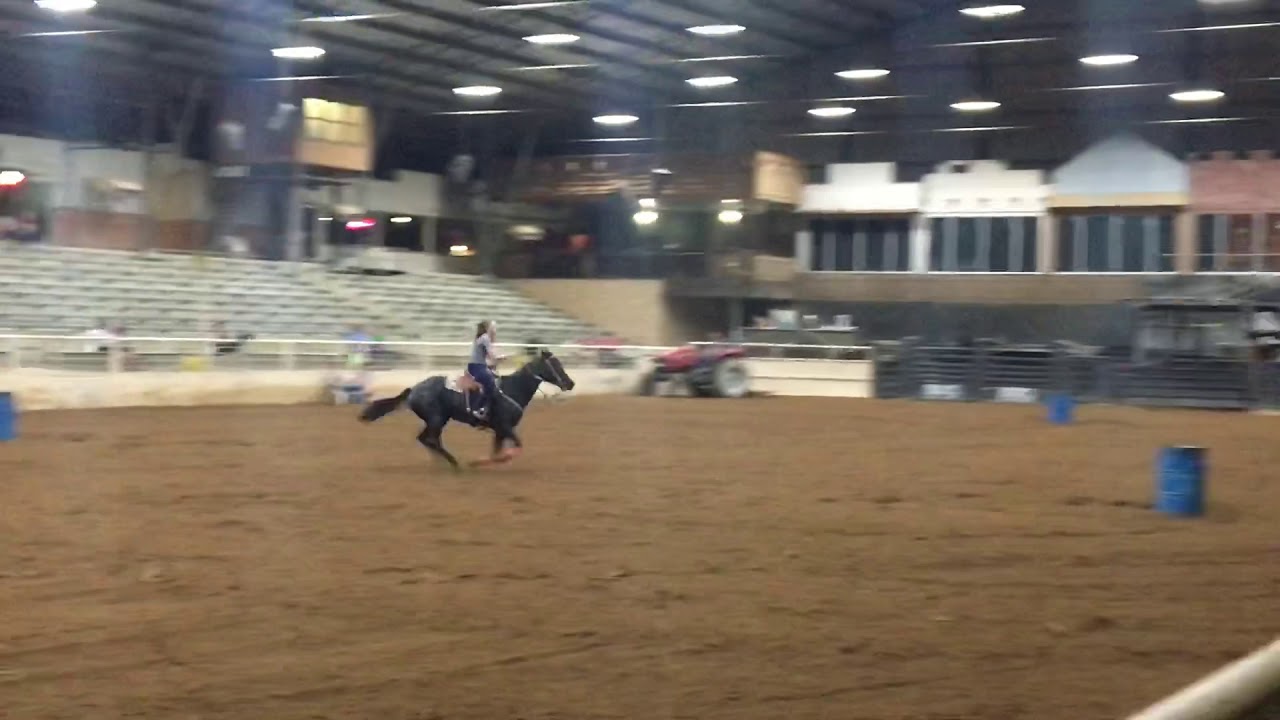 Harts Babe - Lone Star Arena