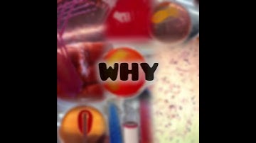 Bacterial structure and KOH string test-How/Why