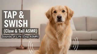 Golden Retriever ASMR 🐾 Quiet Claw Taps & Soft Tail Swishing on Rug - Sounds of Life
