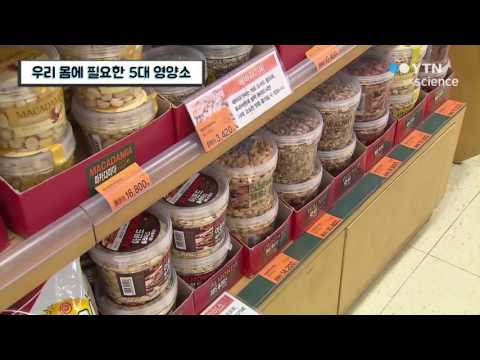 우리 몸에 필요한 5대 영양소 / YTN 사이언스