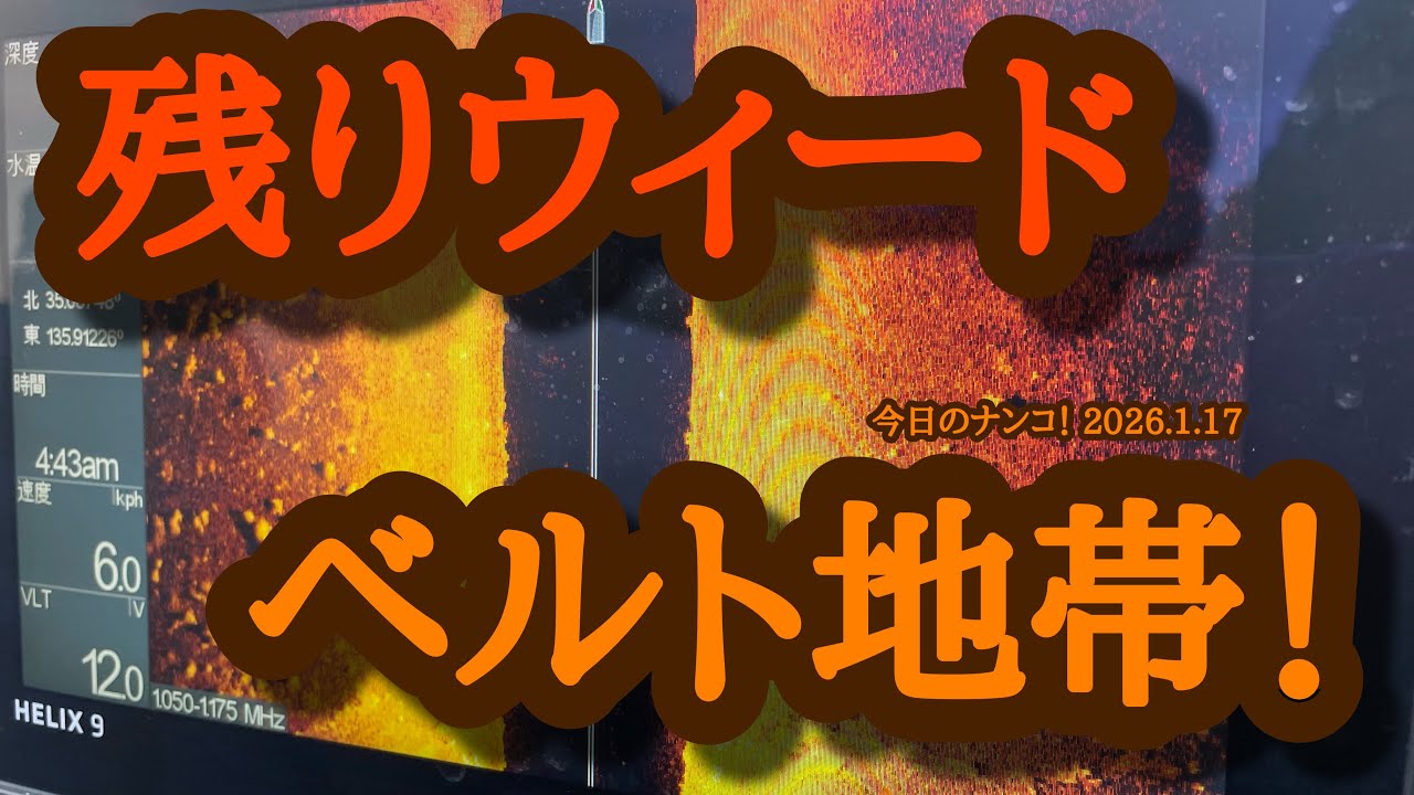 【今日のナンコ！2026.1.17】残りウィードベルト地帯！【琵琶湖バス釣り】