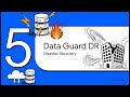 Backup & Recovery | Overview of Chapter 1: Introduction (RMAN + Concepts for DBA Training)