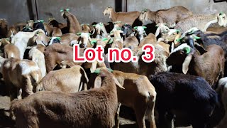 Reasonable price me telengana mende |