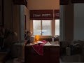 Rainy day in our LA apartment #homedecor #cozyhome #shorts #rainyday