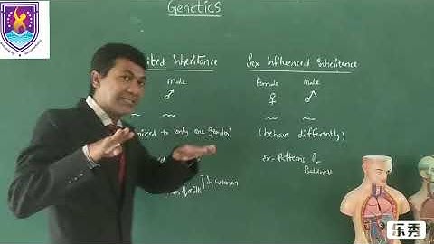 Sex limited and Sex influenced inheritance  || Genetics NCERT XII Class || By Nagavelli Prasad