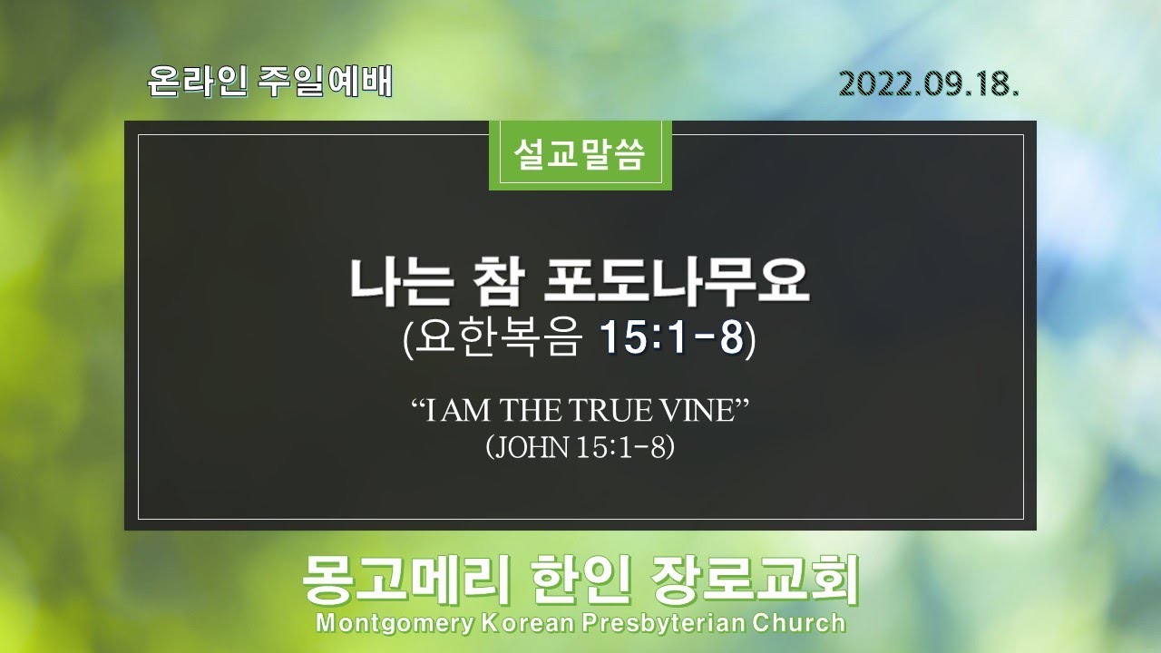 나는 참 포도나무요 설교 영상