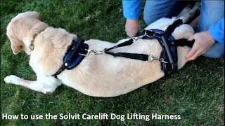 solvit carelift full front & back lifting aid mobility dog harness