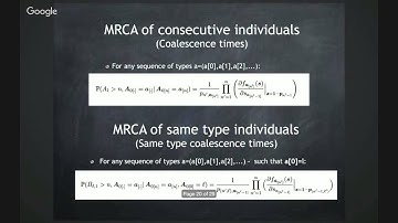 Phyloseminar #53: Lea Popovic (Concordia)