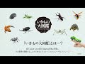いきもの大図鑑「かぶとむし03」　2022年6月3週目発売