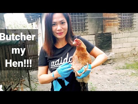 How to Butcher a Hen / Village style / Aliyah's backyard