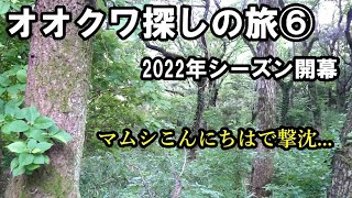 オオクワガタ探しの旅⑥【2022年シーズン1発目からマムシに遭遇し撃沈】