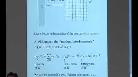 Prof. Alain-Sol Sznitman | Disconnection of discrete cylinders and random interlacements