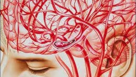 CPT code for Repair blood vessels - simplify medical coding